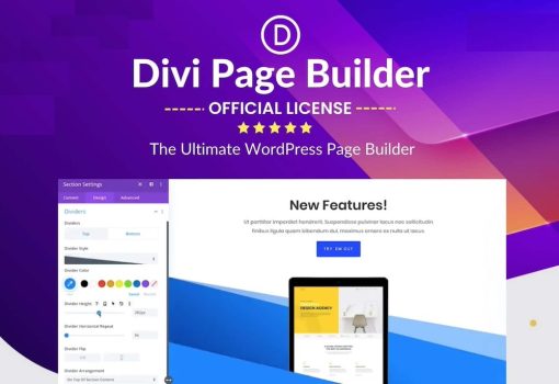Unleashing the Power of Divi Page Builder: Transforming Your WordPress Experience